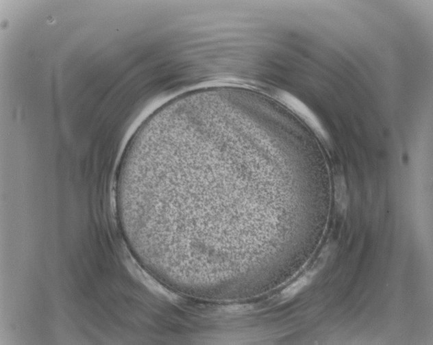 X0000078861292200611271402