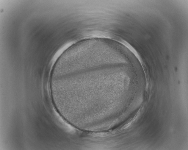 X0000078861293200611271402