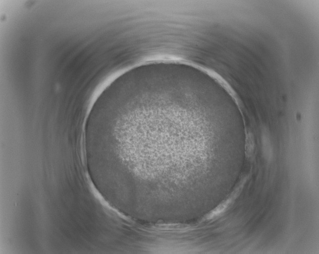 X0000078861295200611271402