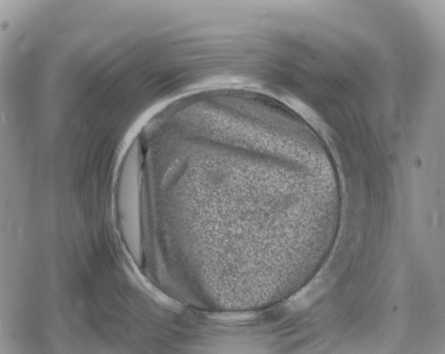 X0000078861296200611271402