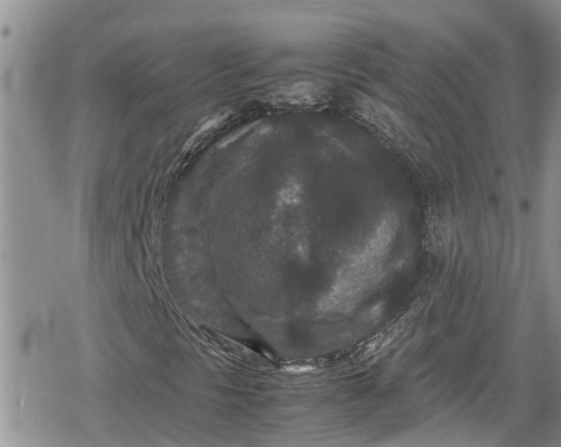 X0000078861297200611271401