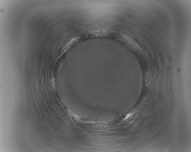 X0000078861298200611271401