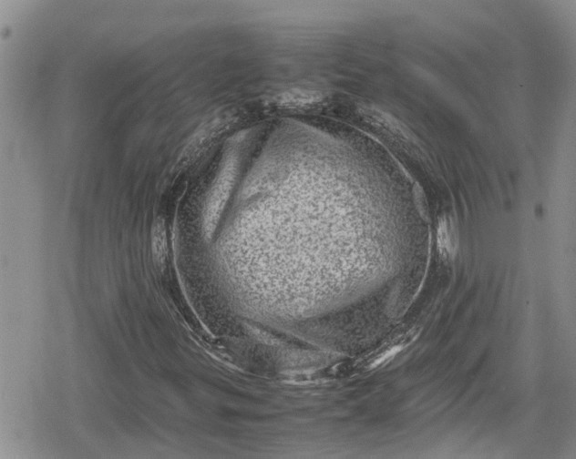 X0000078861299200611271401