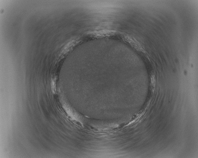 X0000078861300200611271401