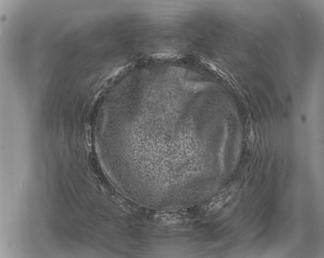 X0000078861301200611271402