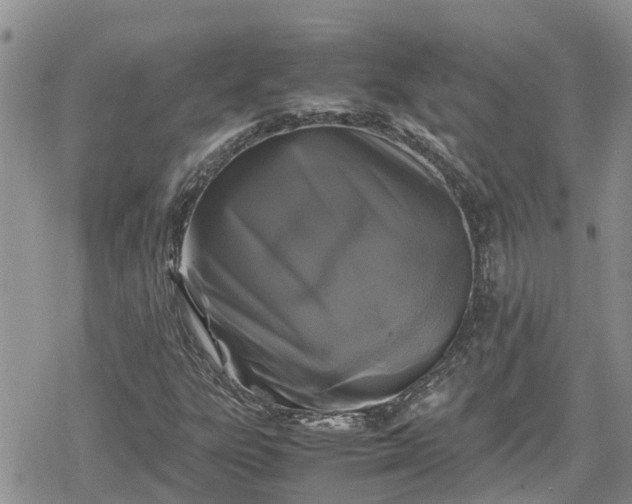 X0000078861303200611271402