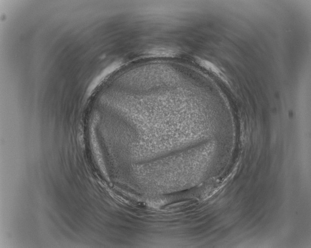 X0000078861307200611271402