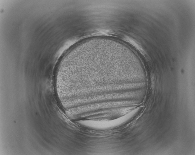 X0000078861308200611271402