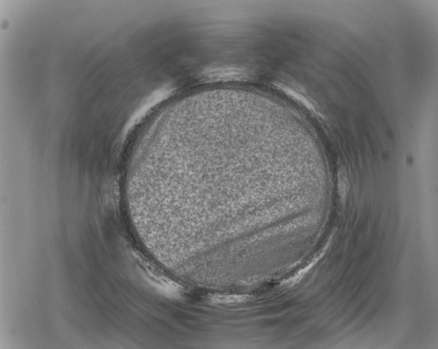 X0000078861309200611271402