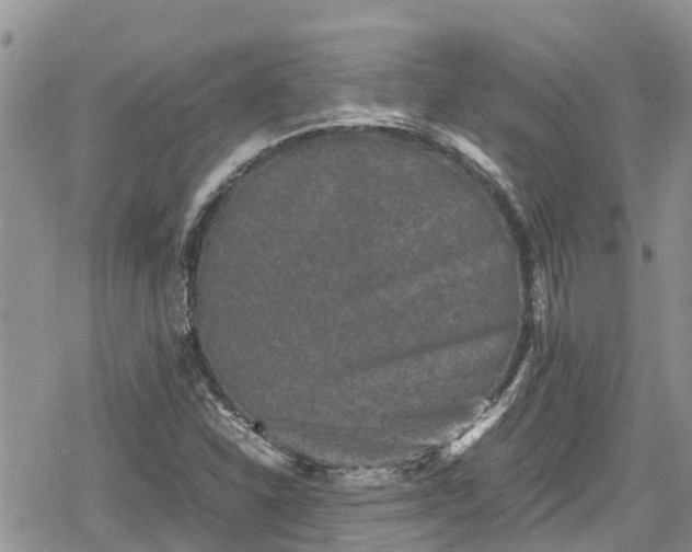 X0000078861310200611271402