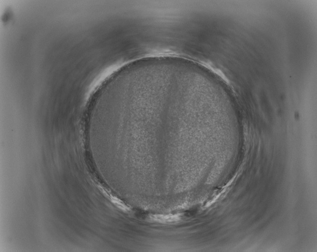 X0000078861311200611271402