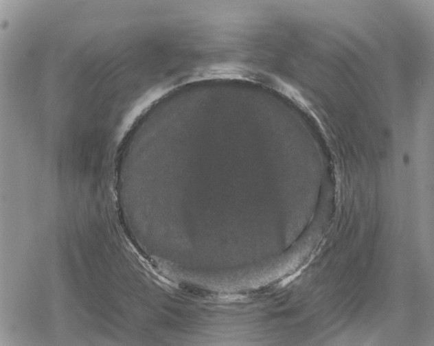 X0000078861312200611271402