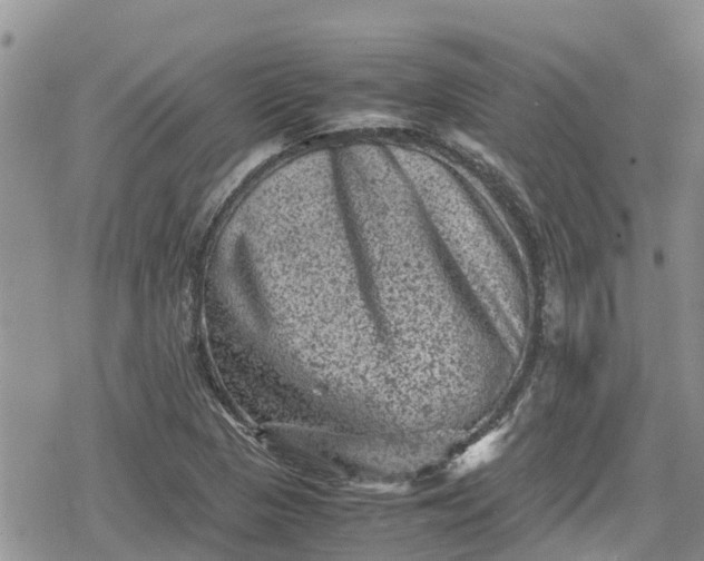 X0000078861313200611271402