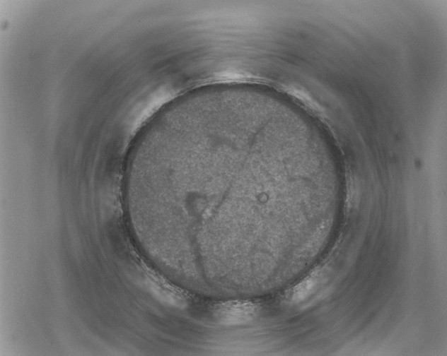 X0000078861314200611271402