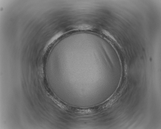 X0000078861315200611271402