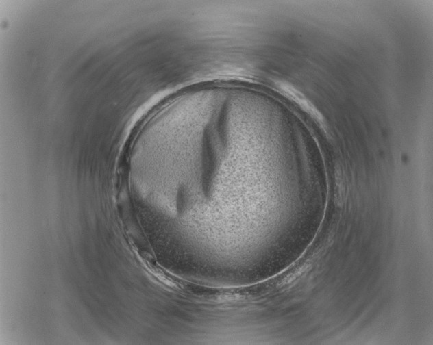 X0000078861316200611271402