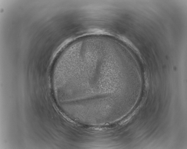 X0000078861318200611271402