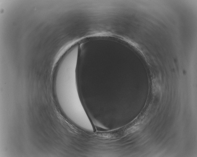 X0000078861319200611271402