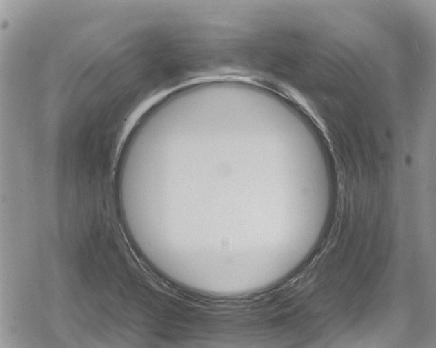 X0000078861320200611271402