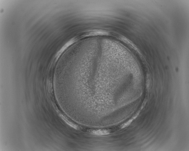 X0000078861321200611271402