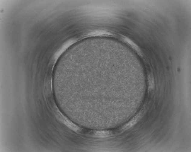 X0000078861322200611271402