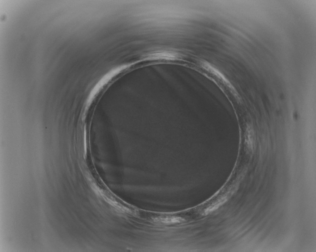 X0000078861323200611271402