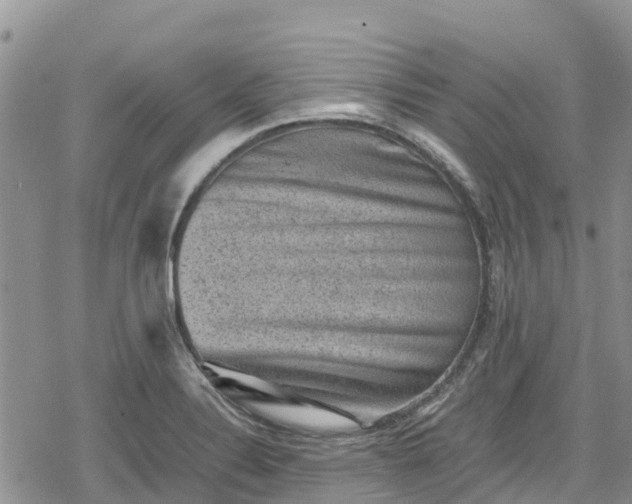 X0000078861324200611271402