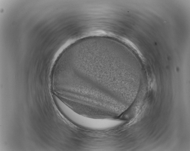 X0000078861326200611271402