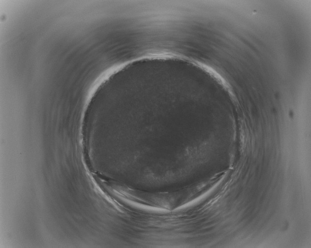 X0000078861327200611271402