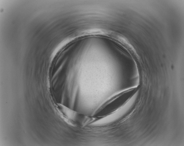 X0000078861328200611271402