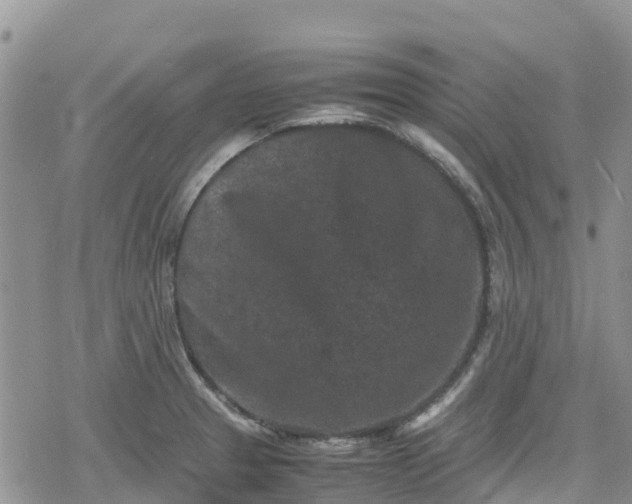 X0000078861329200611271402