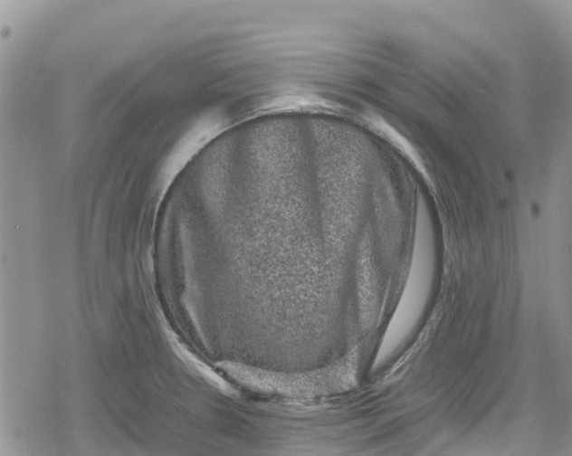 X0000078861330200611271402