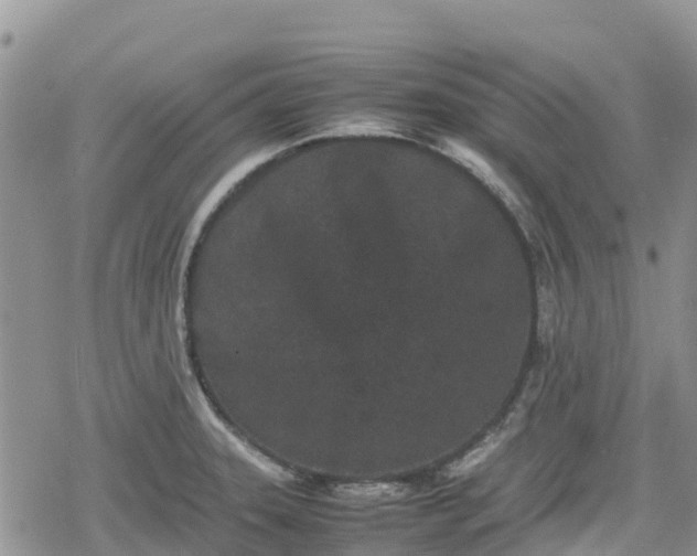 X0000078861331200611271402