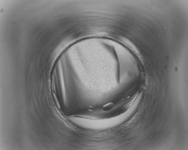 X0000078861332200611271402