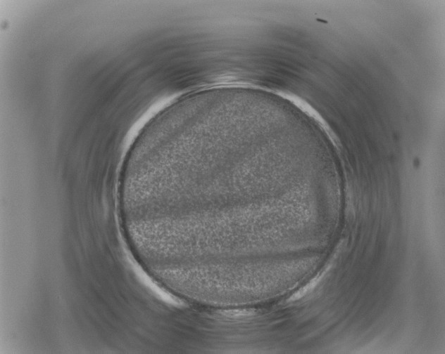 X0000078861333200611271402