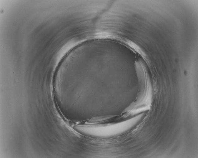 X0000078861334200611271402