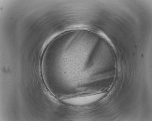 X0000078861336200611271402