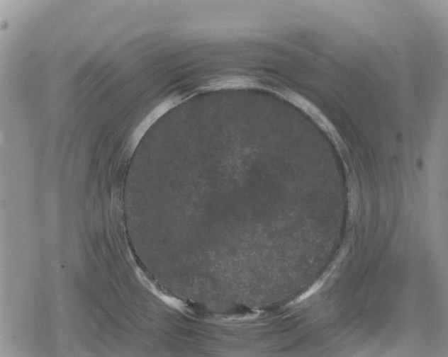 X0000078861337200611271402