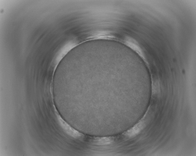 X0000078861338200611271402