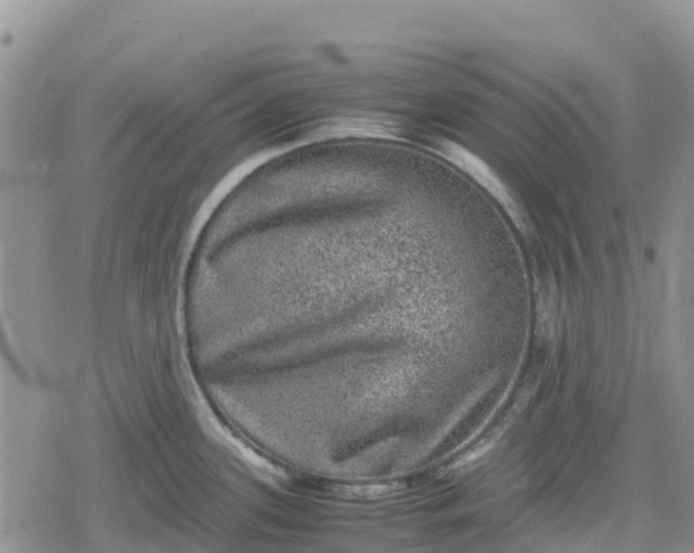 X0000078861339200611271402