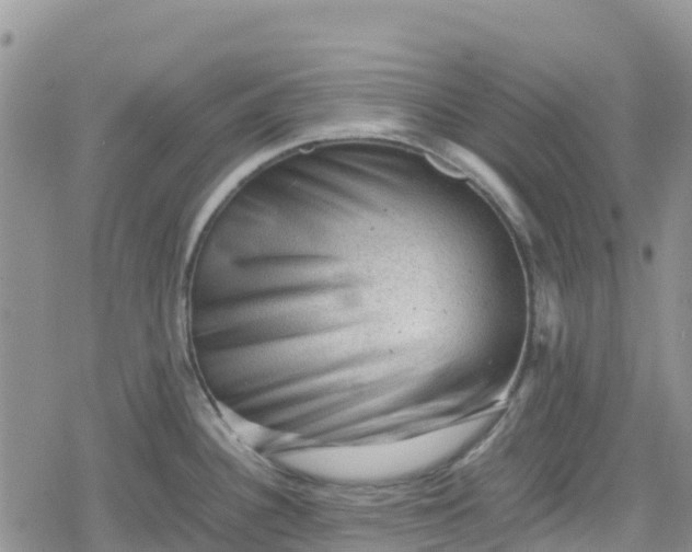 X0000078861340200611271402