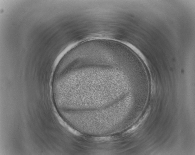 X0000078861341200611271402