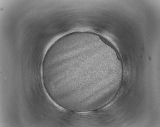 X0000078861343200611271402