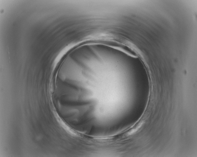 X0000078861344200611271402