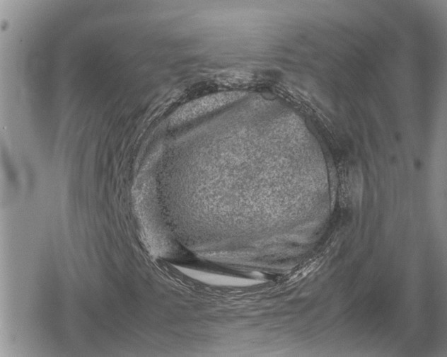 X0000078861345200611271401