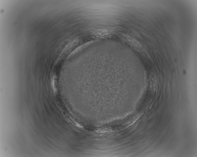 X0000078861346200611271401