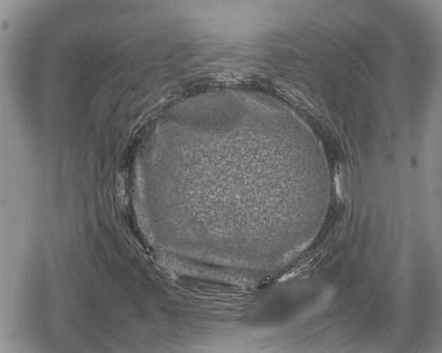 X0000078861347200611271401