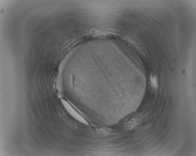 X0000078861348200611271401