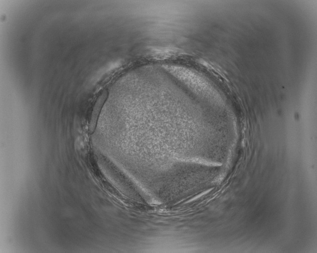 X0000078861349200611271401