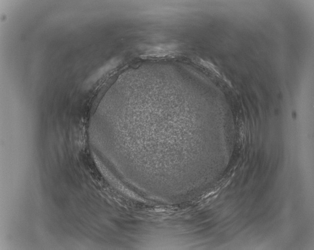 X0000078861350200611271401